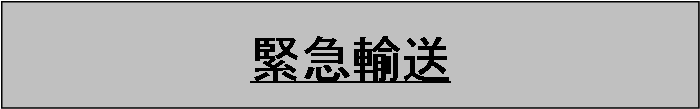 「新緊急輸送2」